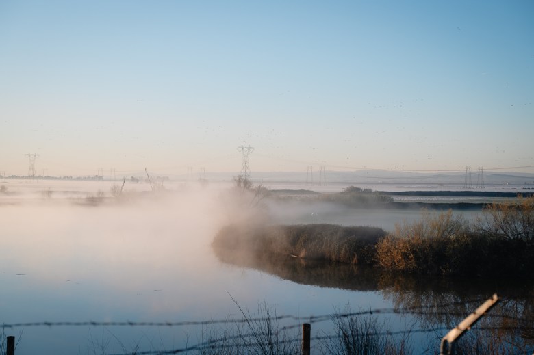 Early morning fog rises from the Sacramento-San Joaquin Delta near Rio Vista, California, in February. The delta is a vast region home to critical water infrastructure, sweeping salt and freshwater ecosystems and hundreds of thousands of Californians.