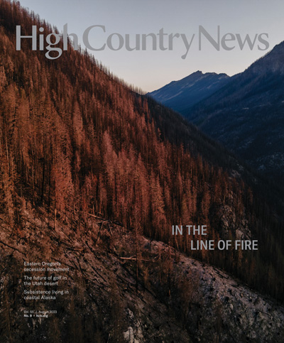 Magazine cover: August 1, 2023: In the Line of Fire
