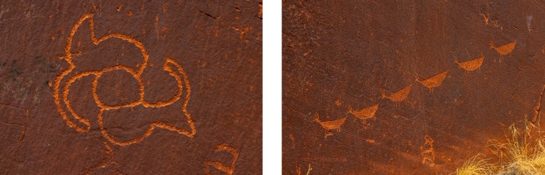 A petroglyph in Marble Canyon (left). A petroglyph of a herd of pronghorn (right).
