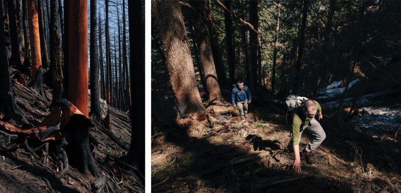 A burned tree on the northwest ridge of the mountain (left). Steve Cooper, left, and Matt Bishop ascend what remains of the trail up to the ridge of Baring Mountain during their return this spring (right).