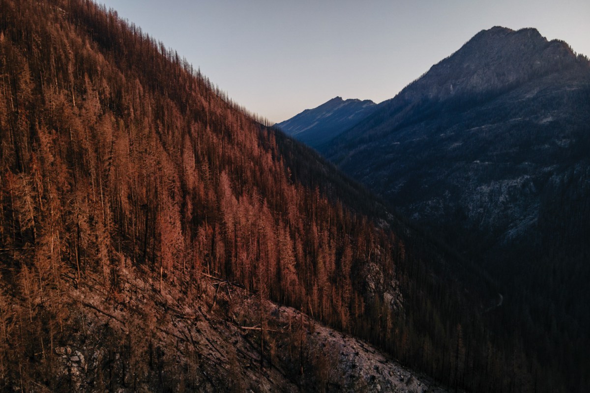 Burned-over forest in Washington near the origin of the Bolt Creek Fire, with Eagle Rock on the right and Townsend Mountain in the distance.