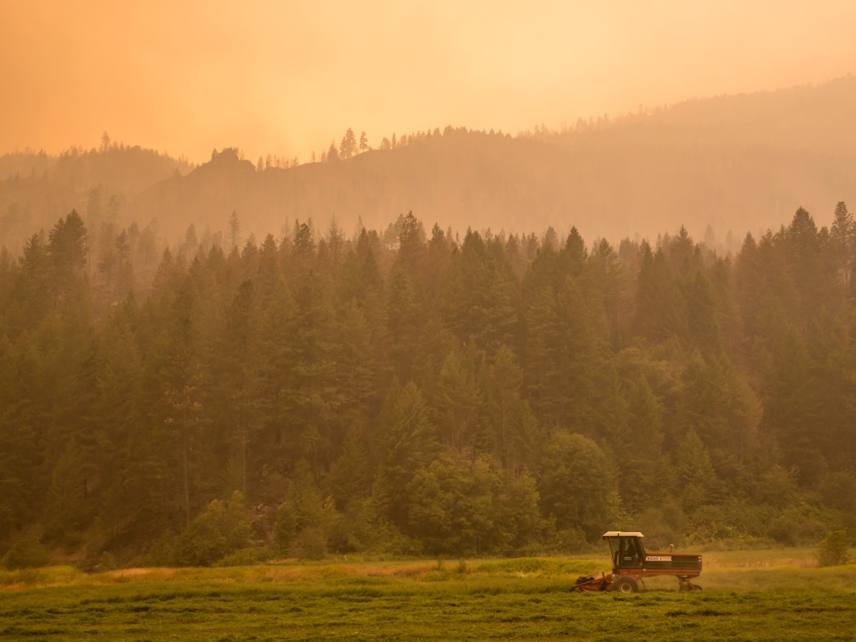 A farmer mows alfalfa amid the smoke from the Okanagon Complex Wildfires on August 23, 2015 near Omak, Washington.