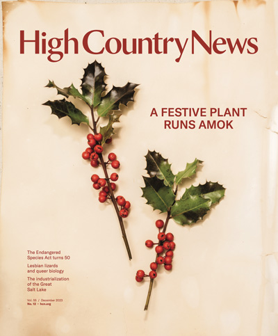 Magazine cover: December 1, 2023: December 2023