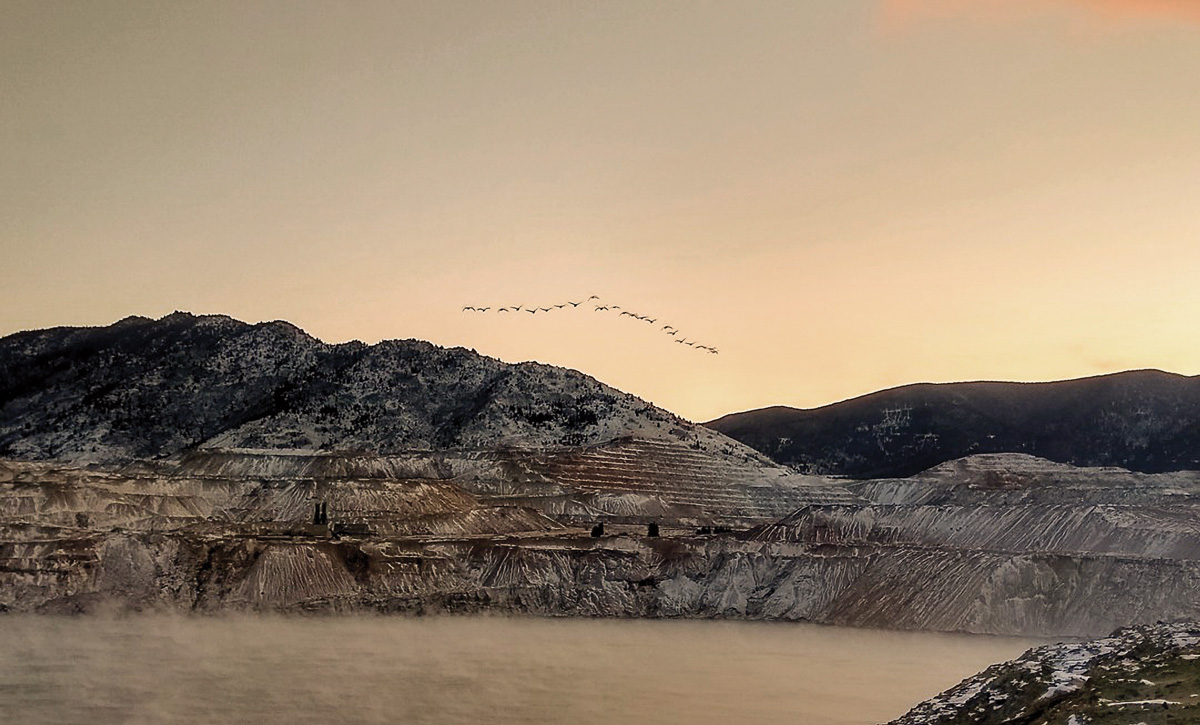 Snow geese fly away from the Berkeley Pit after a sunrise hazing in 2021.
