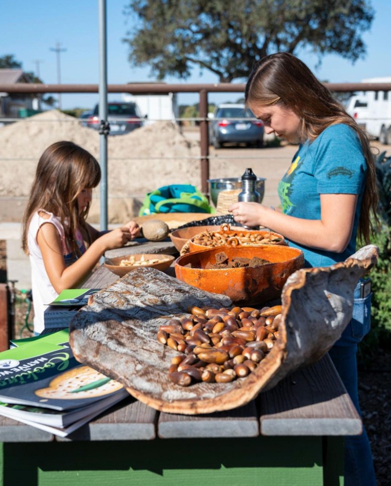 Participants in the Chumash Good Fire Project process acorns for food. “According to Chumash traditional knowledge and what we know about the plants, the best nutrient food plants need fire to really propagate,” said Romero.