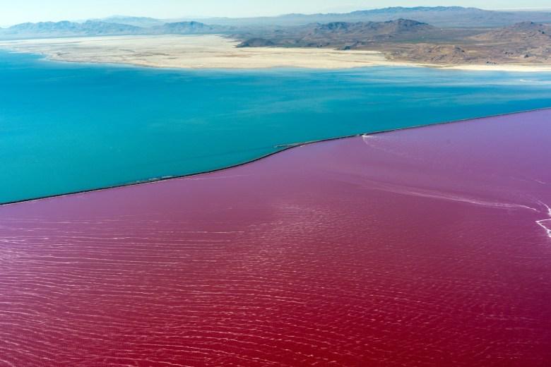 The Great Salt Lake’s North Arm, separated from freshwater instream flows by a railroad causeway, radiates a bright pink from microorganisms that survive high salinity. 