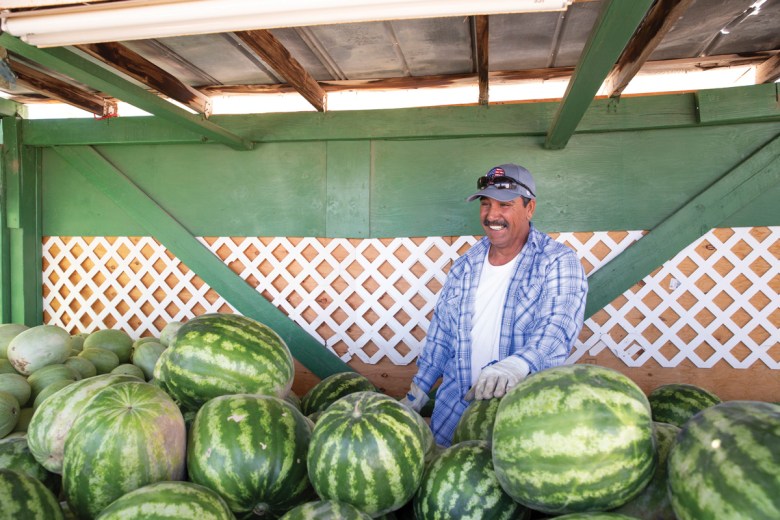 Abel Herrera, farm foreman for Dunham Melons.