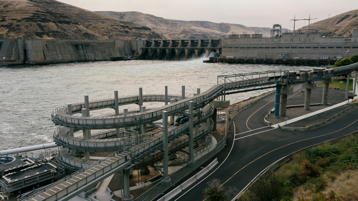 A juvenile salmon capture and transport structure at Lower Granite Dam, one of the four Lower Snake River dams. Despite such efforts, multiple salmon runs on the river are veering toward extinction.