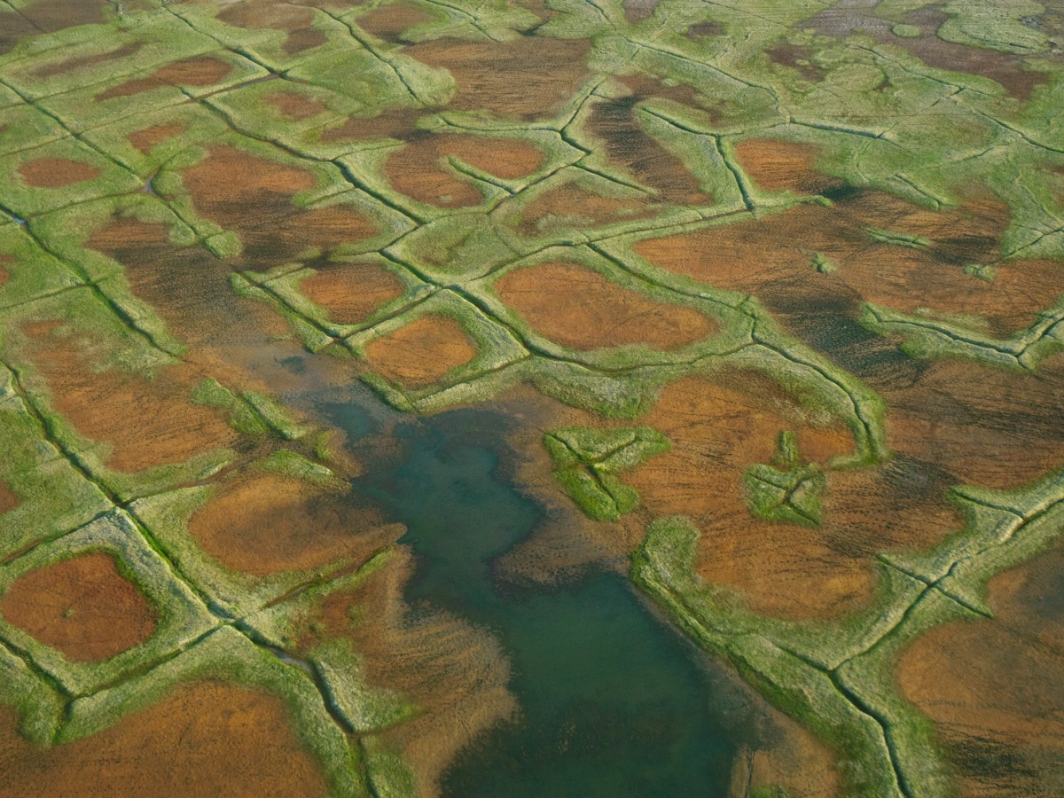 An aerial view of tundra polygons and caribou tracks in the National Petroleum Reserve-Alaska. The reserve’s almost 23 million acres were set aside in 1923 as an emergency military oil supply.
