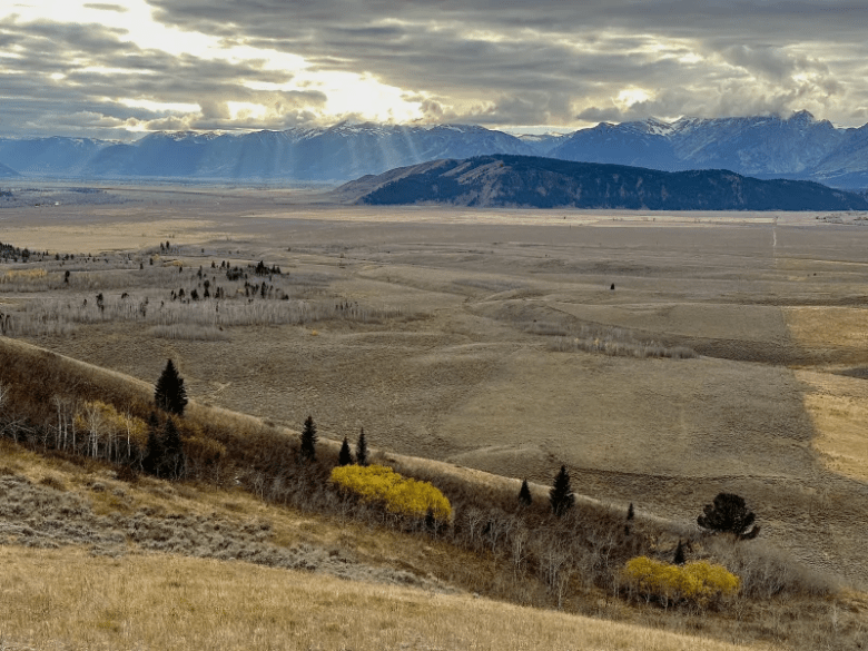 The fence line separating sagebrush and historic pastureland marks the north end of the state of Wyoming’s school trust parcel in Grand Teton National Park, a tract known as the Kelly Parcel.