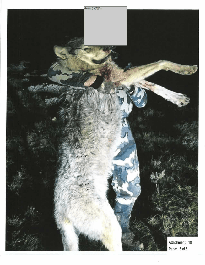This redacted photo of a hunter with a wolf killed near the Wyoming-Colorado border was uploaded to Facebook on May 24, 2020.