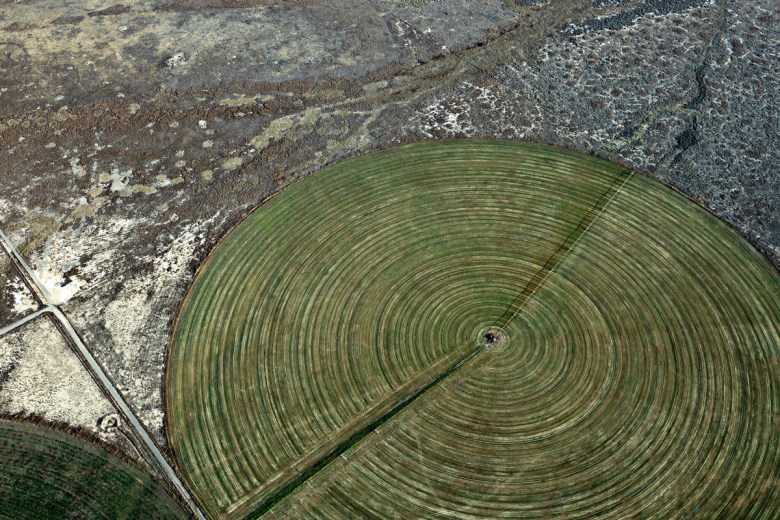 A center-pivot irrigation system that uses water pumped back into the ground from the Barrick Goldstrike gold mine.