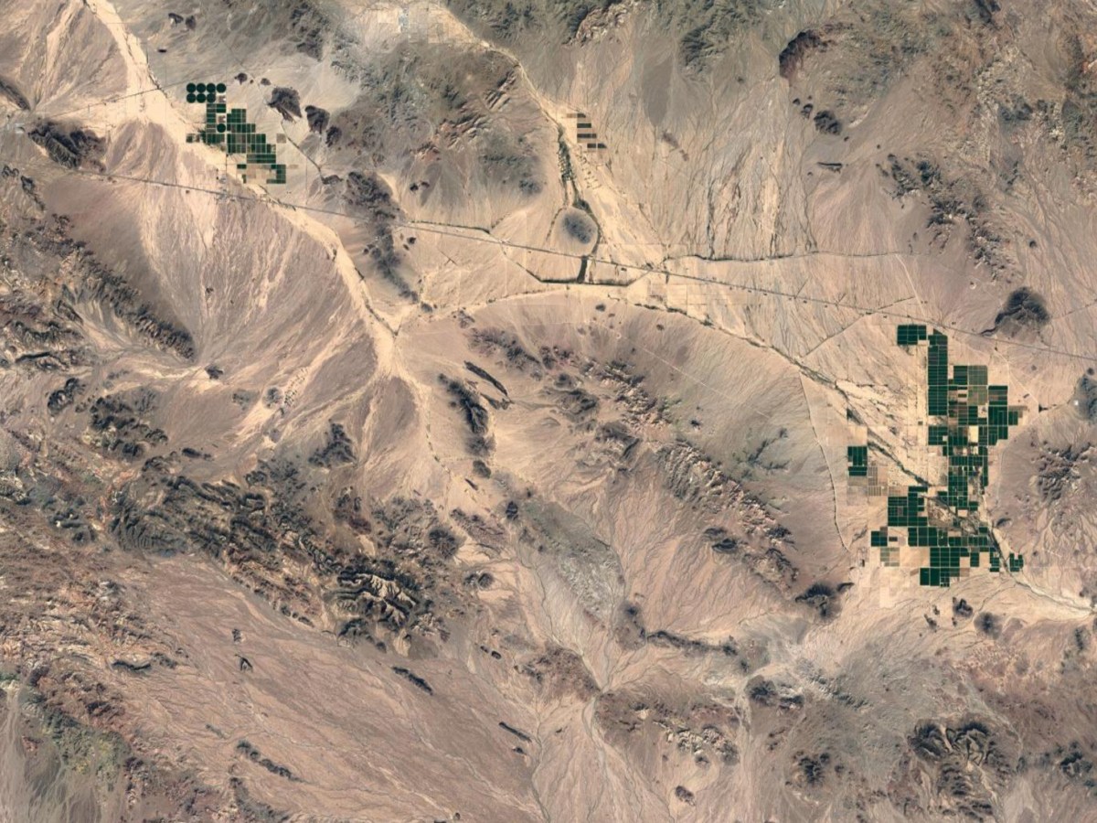 Fields in the Sonoran Desert near Centennial, Arizona. The state grows over 2 million tons of alfalfa, most of it in the scorching Southwest corner of the state.