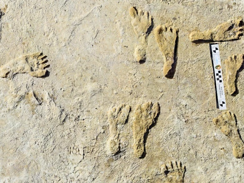 The White Sands discovery only confirms what Indigenous people have said all along