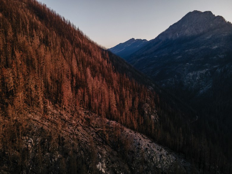 Burned-over forest in Washington near the origin of the Bolt Creek Fire, with Eagle Rock on the right and Townsend Mountain in the distance.