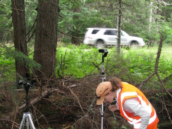 How human noise pollution is disrupting wild places