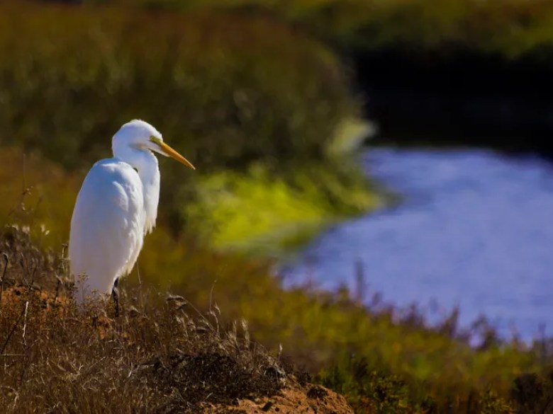 Humanity is a liability the natural world can no longer afford