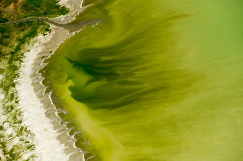 A harmful algae bloom in Utah Lake in 2016. The bloom sickened more than 100 people and left farmers scrambling for clean water. 