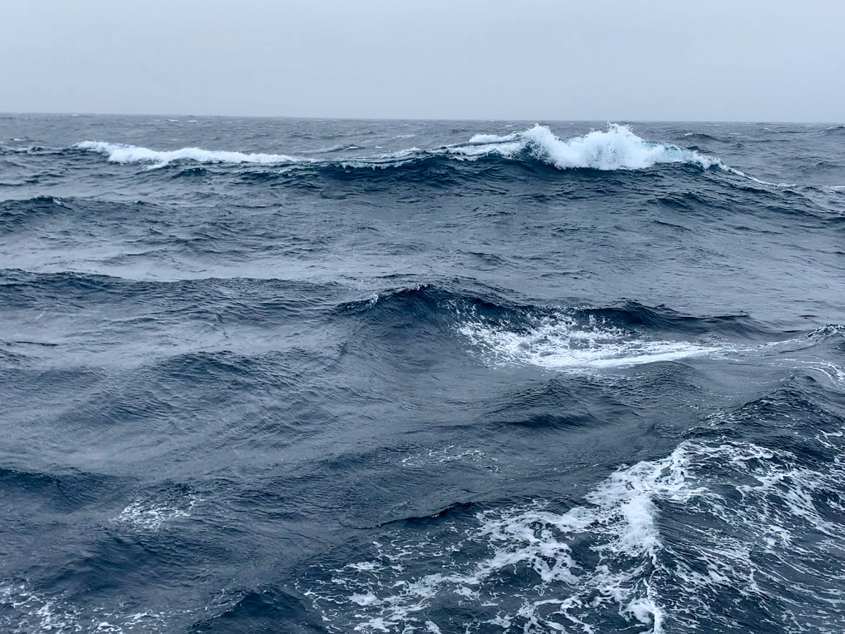 The northern Pacific Ocean, from the NOAA Bell M. Shimada by Dr. Laurie Weitkamp.