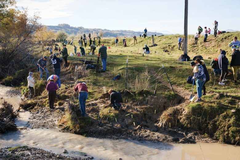 Volunteers plant native vegetation along the banks of Battle Creek at the Bear River Massacre site in Preston, Idaho.