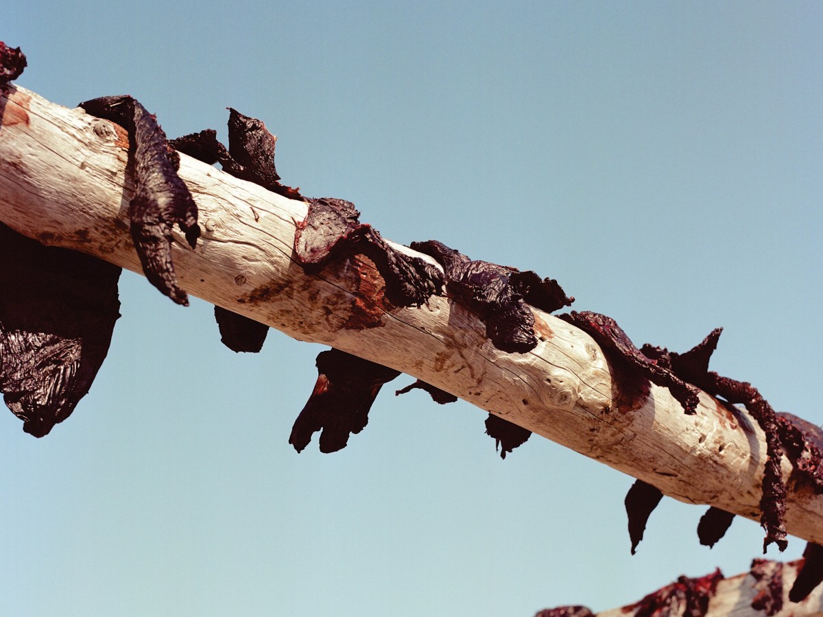 Bearded seal meat drying in the Inupiat village of Point Hope, Alaska.