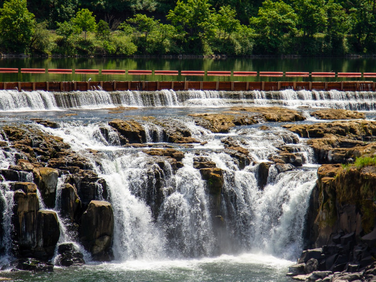 After nearly two centuries, the Willamette Falls Trust announced an agreement with Portland General Electric to conduct a yearlong formal site study with the end goal of creating a permanent easement for tribal nations and the public to have access to the falls.