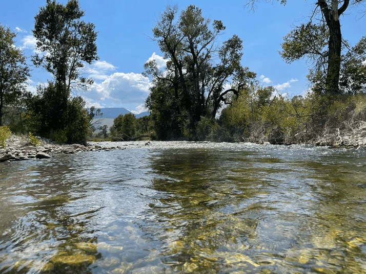 Little Bighorn River looking toward the Bighorn Mountains.